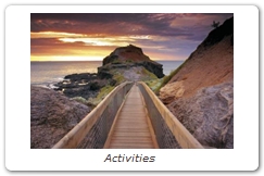 Activities 