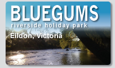 Bluegums Holiday Park Dromana Victoria